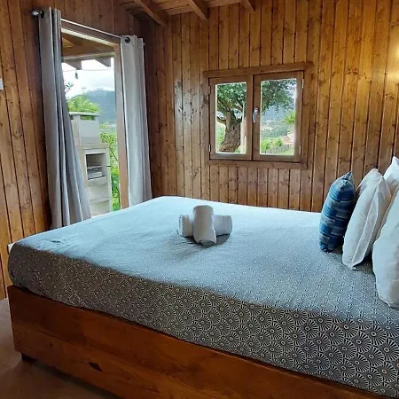 Fernandes Blue Ponte de Lima